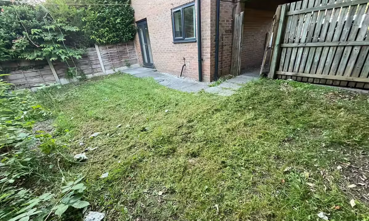 9d81586b-0b84-4ed4-a235-1260060822eb