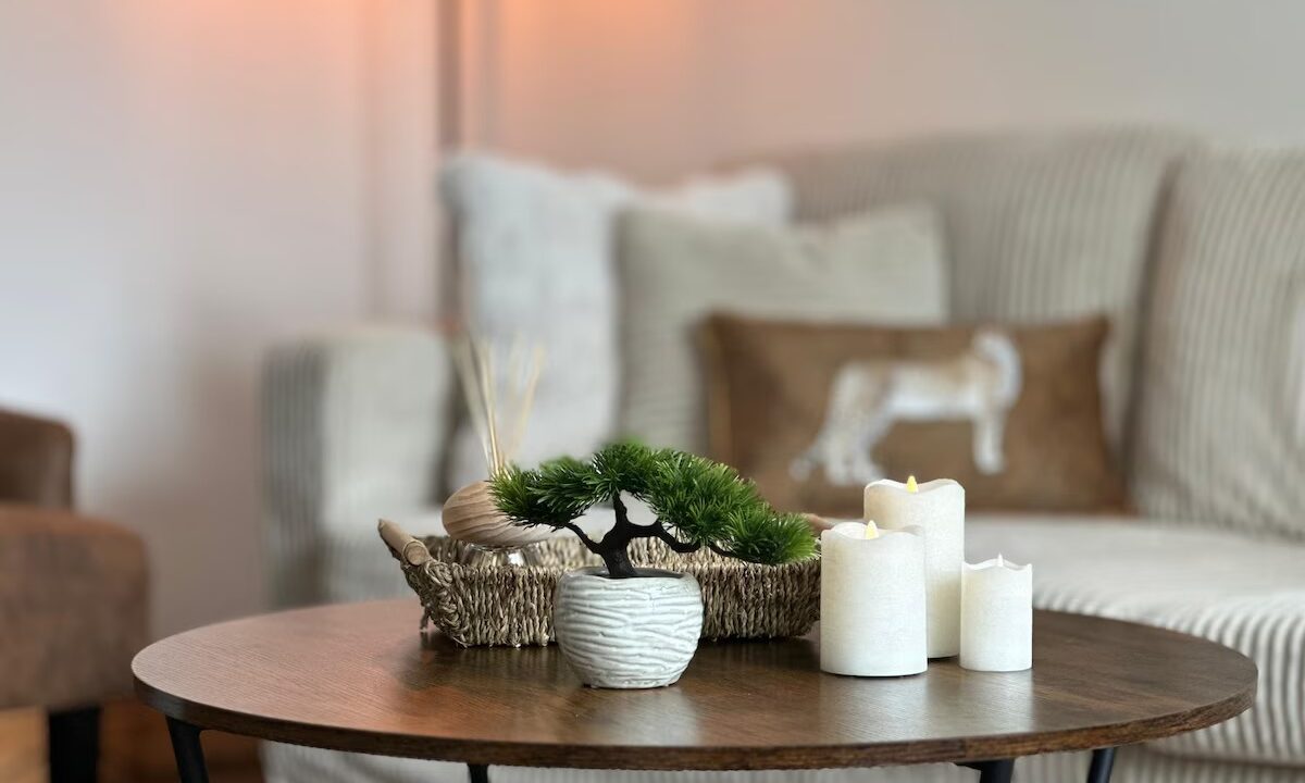 imgi_197_36049740-e8b9-4bb2-aae1-1cac3d33f6d1