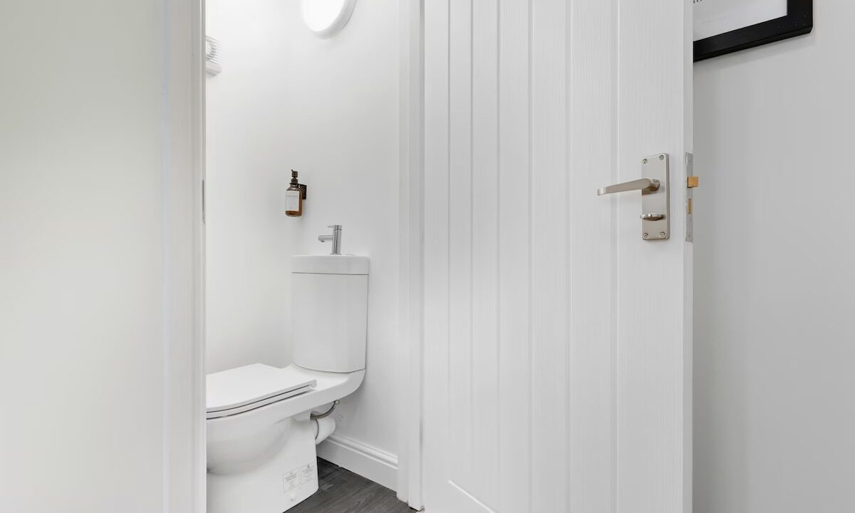 imgi_49_d32b9584-ab2b-4c75-ace6-900c6348b704