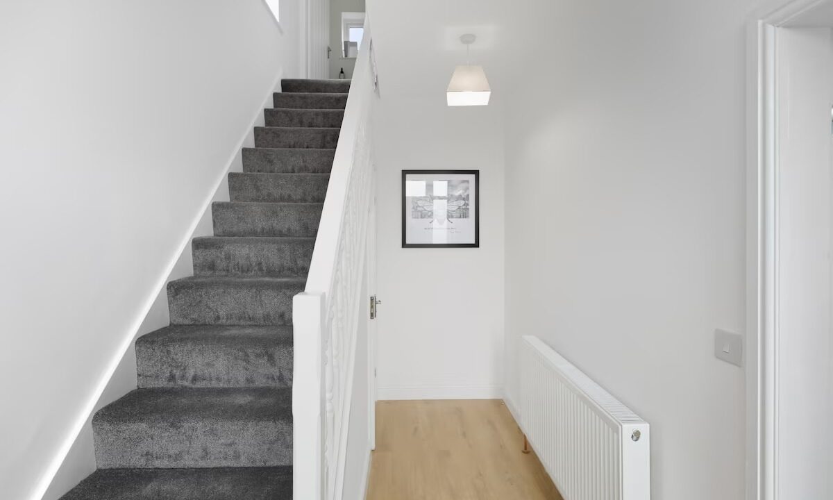 imgi_51_71c2eb00-0e2f-4679-aa3e-acaa1e36dd1f